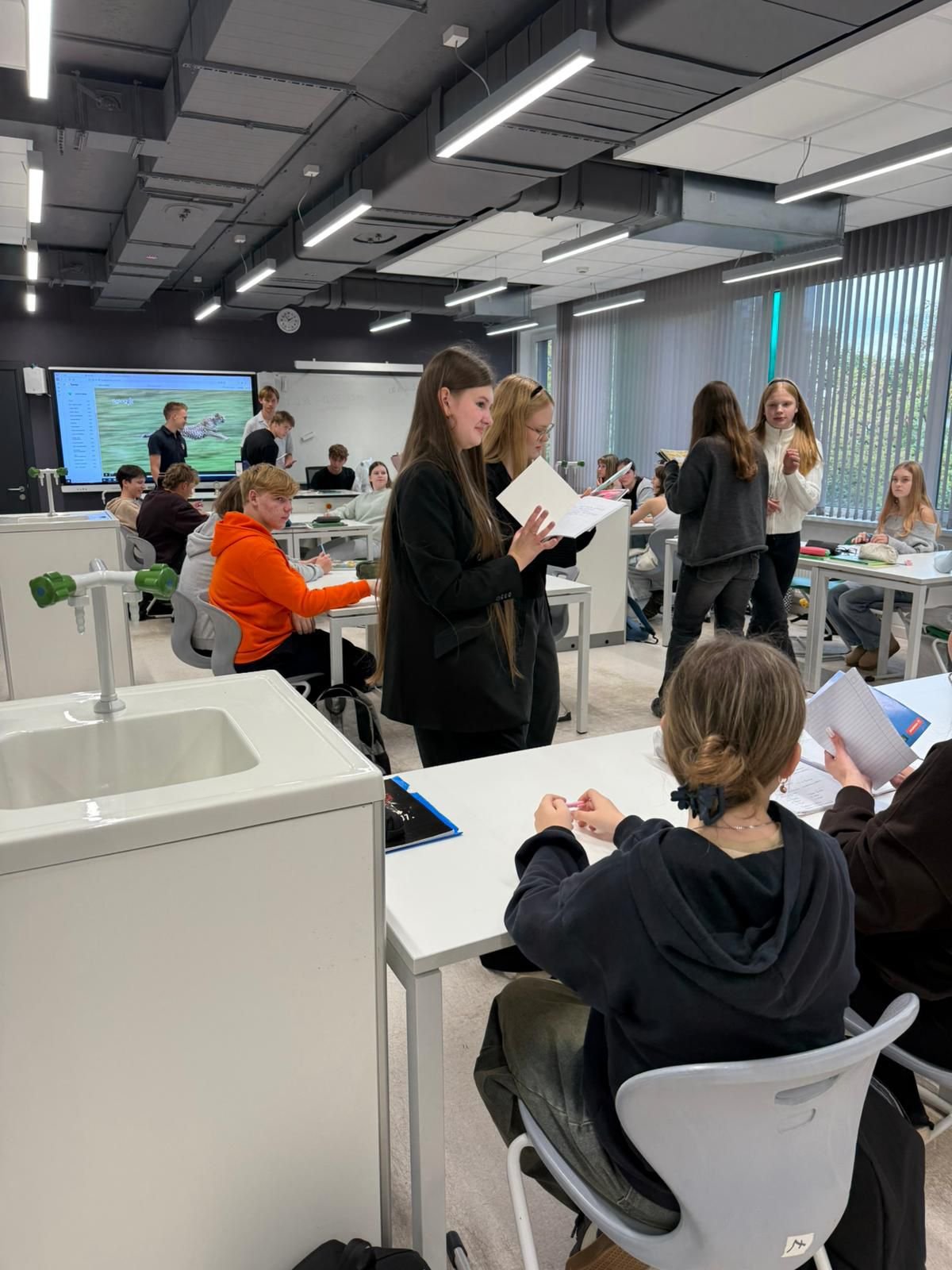 WhatsApp Image 2025-10-07 at 11.26.14.jpeg